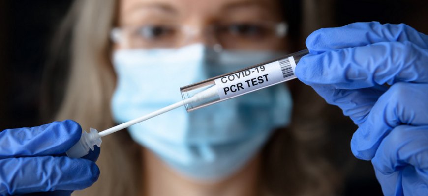 Таиланд больше не требует сертификат вакцинации и ПЦР-тест
